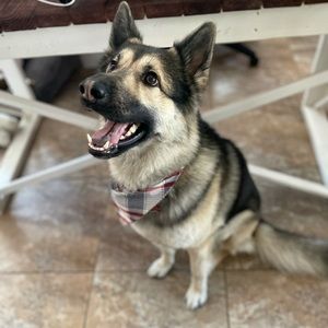 Meet your Posher, Candice